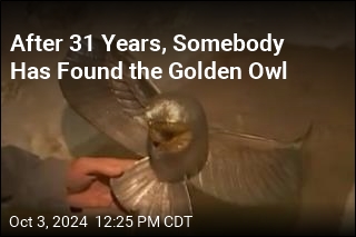 Buried &#39;Golden Owl&#39; Treasure Found After 31 Years