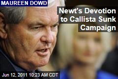 Newt's Devotion to Callista Sunk Campaign