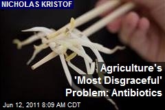 Agriculture's 'Most Disgraceful' Problem: Antibiotics