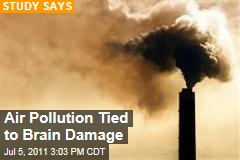 Air Pollution Tied to Brain Damage