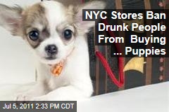 NYC Stores Ban Drunk People From Buying ... Puppies